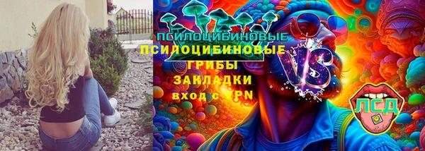 ПСИЛОЦИБИНОВЫЕ ГРИБЫ Алзамай