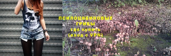 спайс Алексеевка