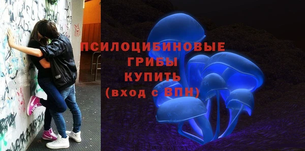 ПСИЛОЦИБИНОВЫЕ ГРИБЫ Алзамай