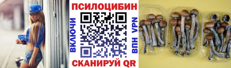 как найти закладки  Сычёвка  Галлюциногенные грибы Magic Shrooms 