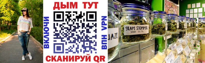 где купить наркотик  Сычёвка  Бошки Шишки гибрид 